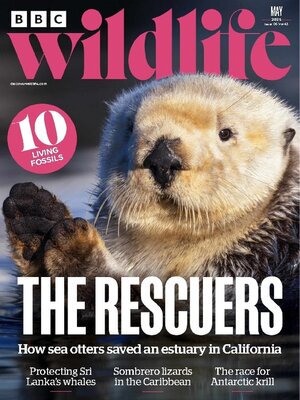 BBC Wildlife Magazine - Magazine